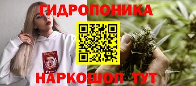 mix Новодвинск