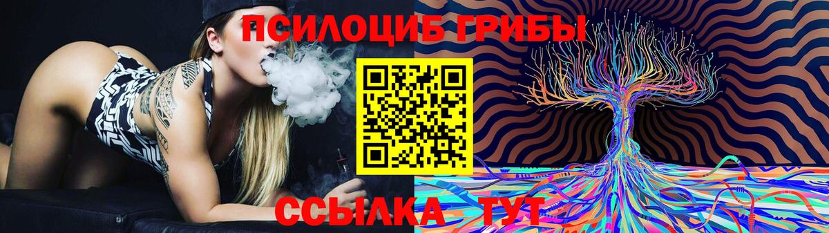 Фурманов  Галлюциногенные грибы прущие грибы  Вход с VPN 